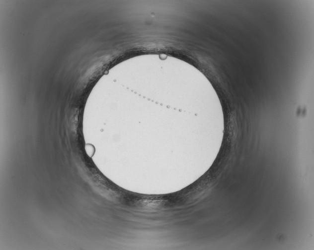 X0000112050495200909151006