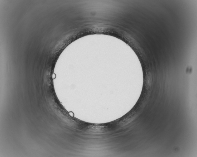 X0000112050497200909151006