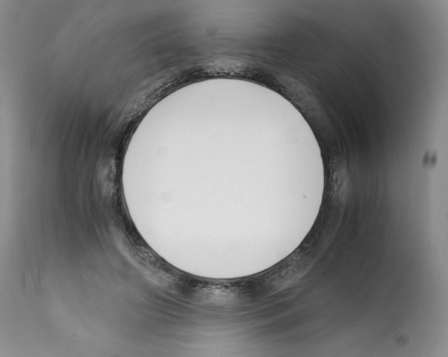 X0000112050498200909151006