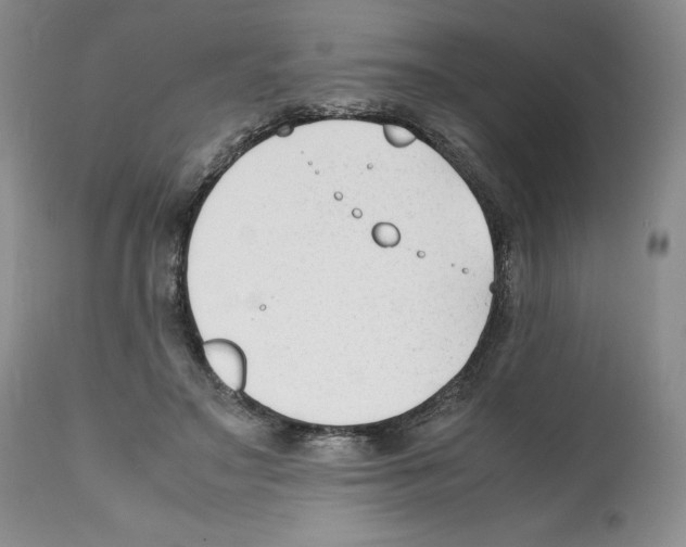 X0000112050499200909151006
