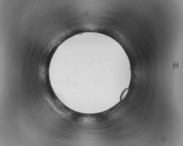 X0000112050500200909151006