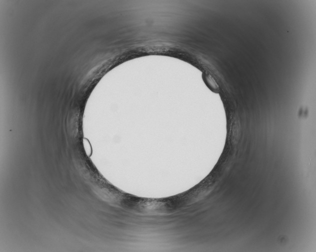 X0000112050501200909151006