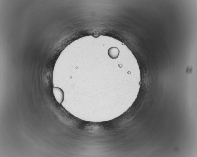 X0000112050503200909151006