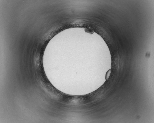 X0000112050504200909151006