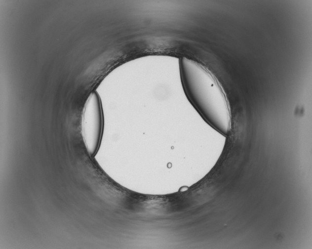 X0000112050505200909151006