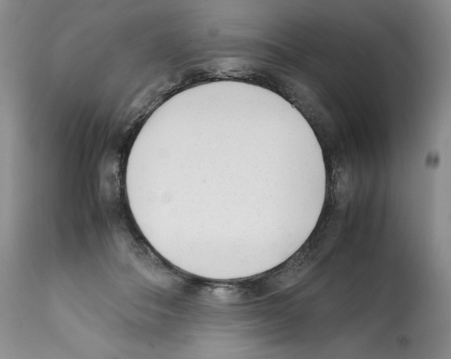 X0000112050506200909151006