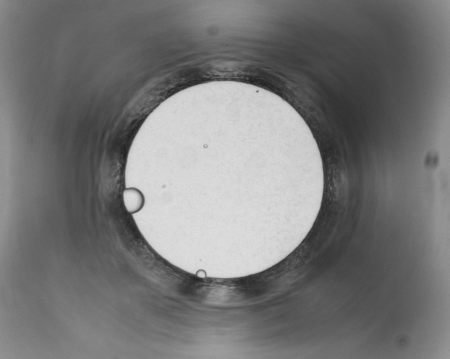 X0000112050507200909151006