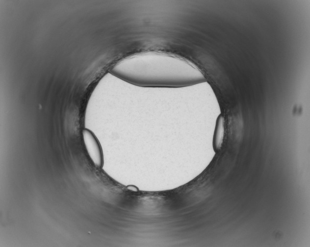 X0000112050508200909151006
