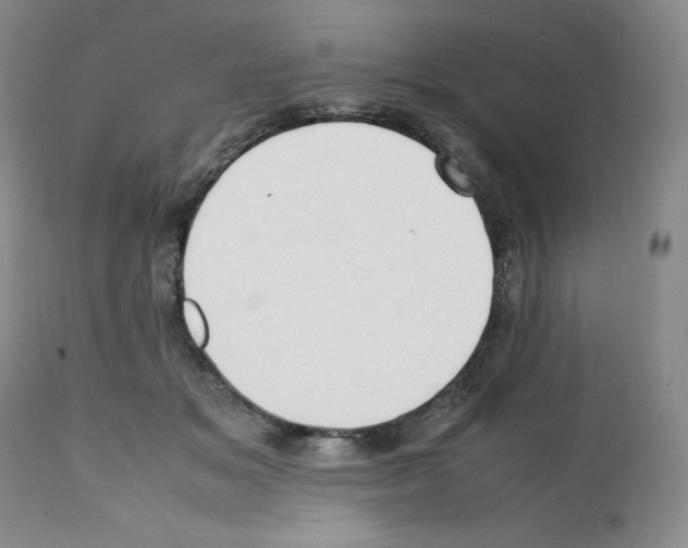 X0000112050509200909151006