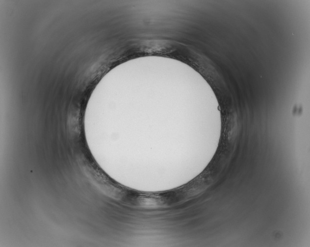 X0000112050510200909151006