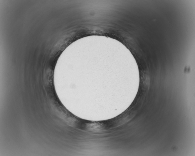 X0000112050511200909151006