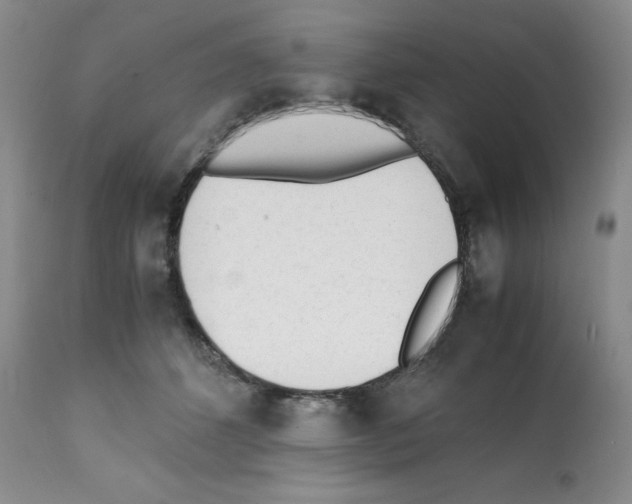 X0000112050512200909151006