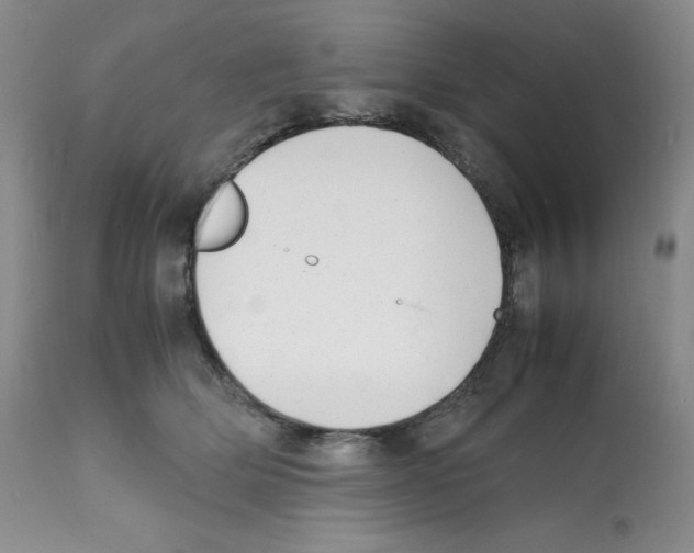 X0000112050514200909151006