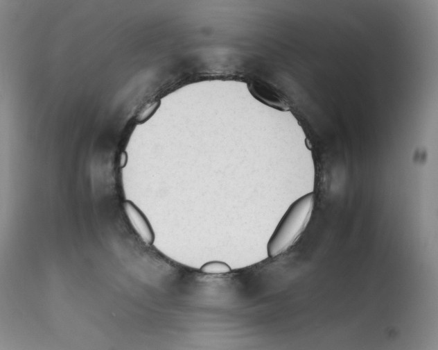 X0000112050516200909151005