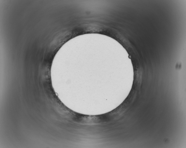 X0000112050517200909151005