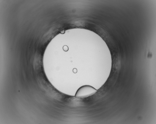 X0000112050518200909151005