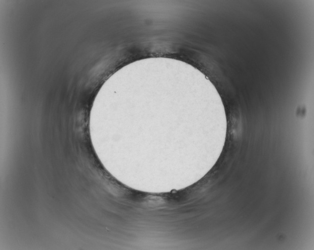 X0000112050519200909151005
