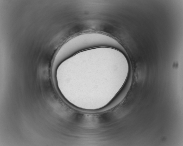 X0000112050520200909151005