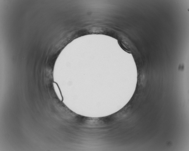 X0000112050521200909151005