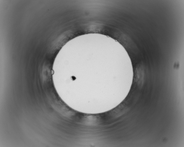 X0000112050522200909151005