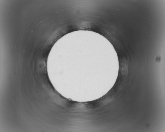X0000112050523200909151005