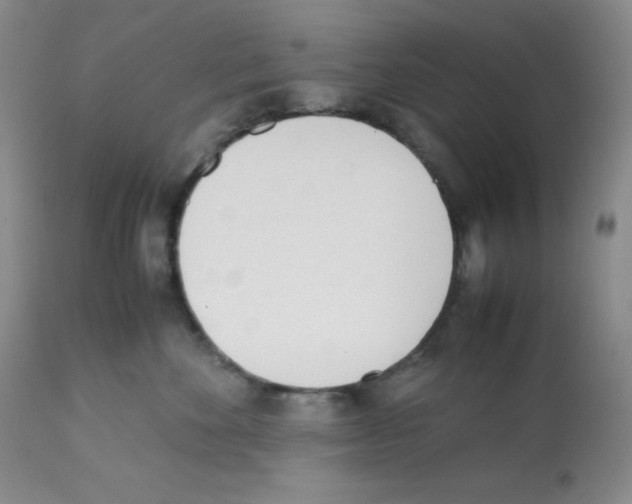 X0000112050524200909151005