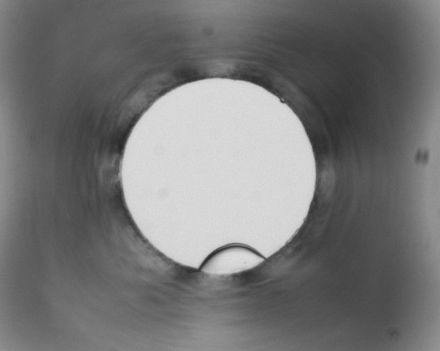 X0000112050525200909151005