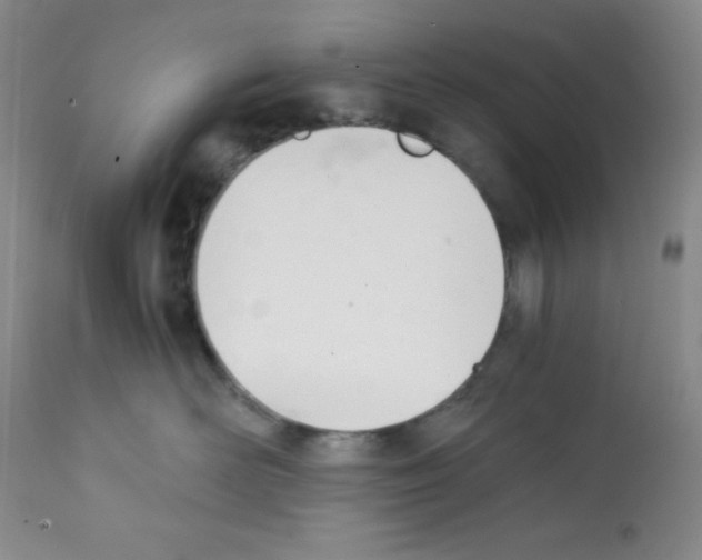 X0000112050526200909151005