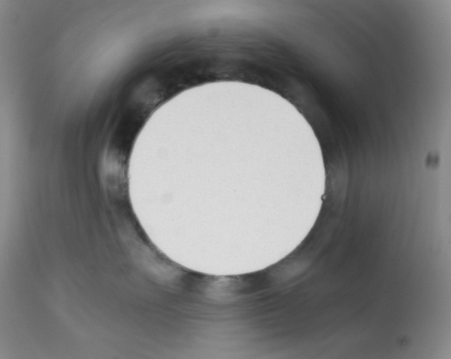 X0000112050527200909151005