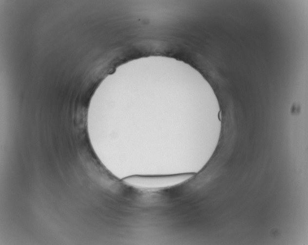 X0000112050528200909151005