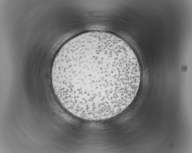 X0000112050529200909151005