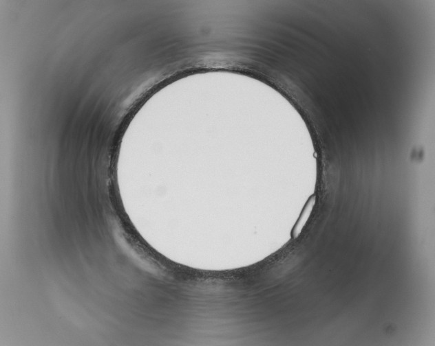 X0000112050530200909151005
