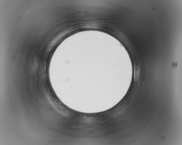 X0000112050531200909151005