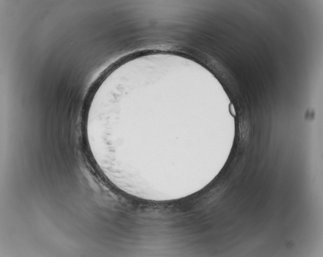 X0000112050532200909151005