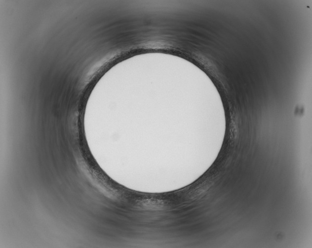 X0000112050535200909151005