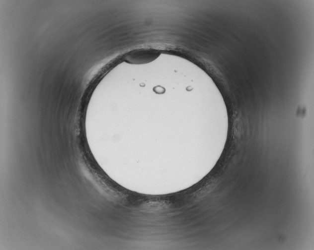 X0000112050536200909151005