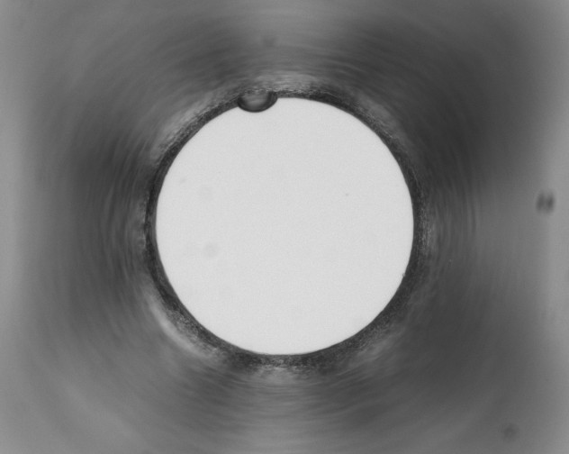 X0000112050538200909151005