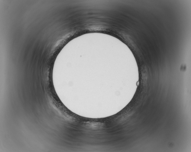 X0000112050539200909151005