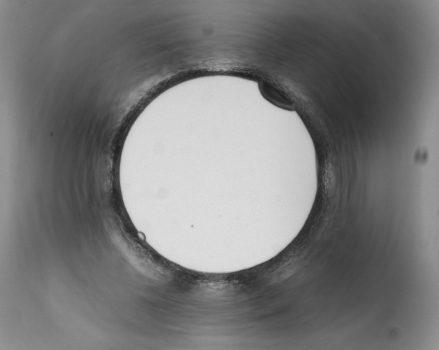 X0000112050540200909151005