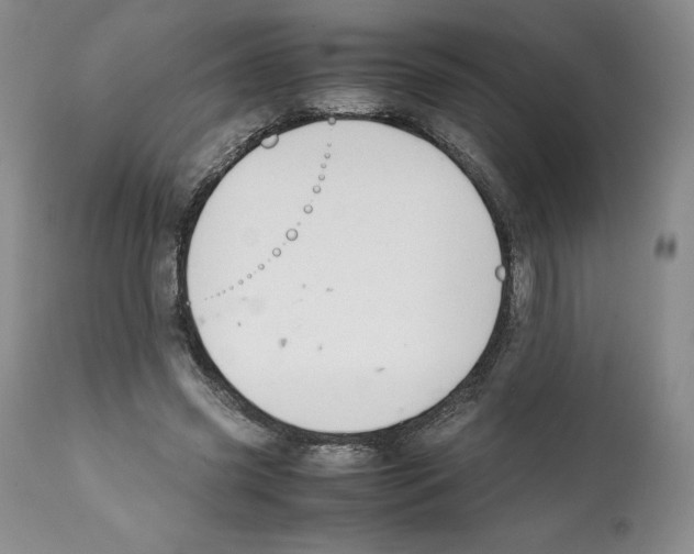 X0000112050541200909151005