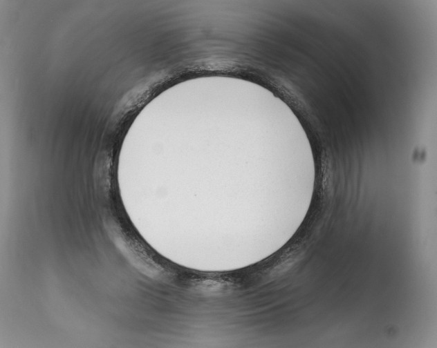 X0000112050542200909151005
