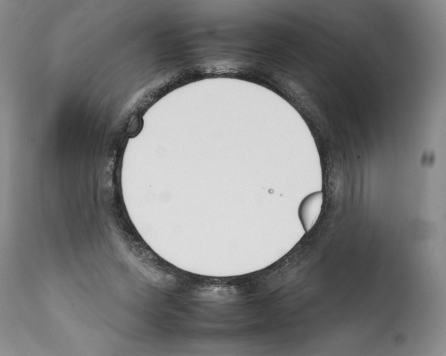 X0000112050543200909151005