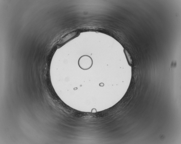 X0000112050544200909151005