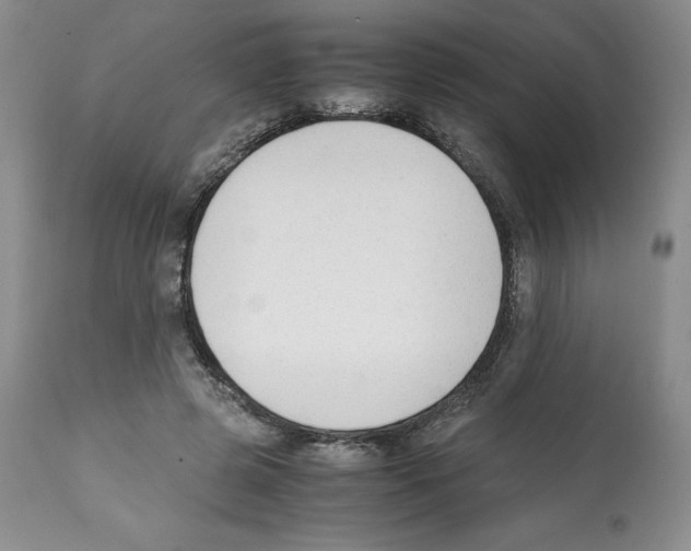 X0000112050545200909151005