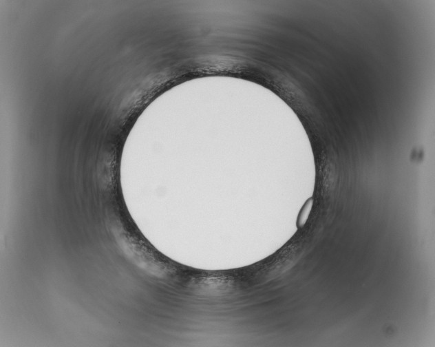 X0000112050546200909151005