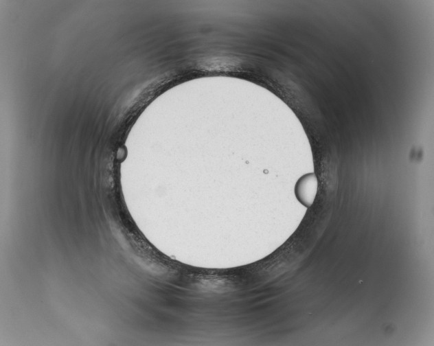 X0000112050547200909151005