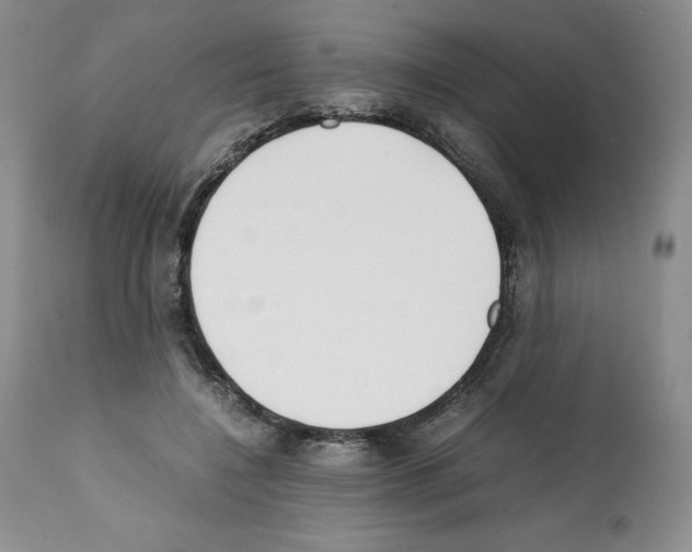 X0000112050548200909151005