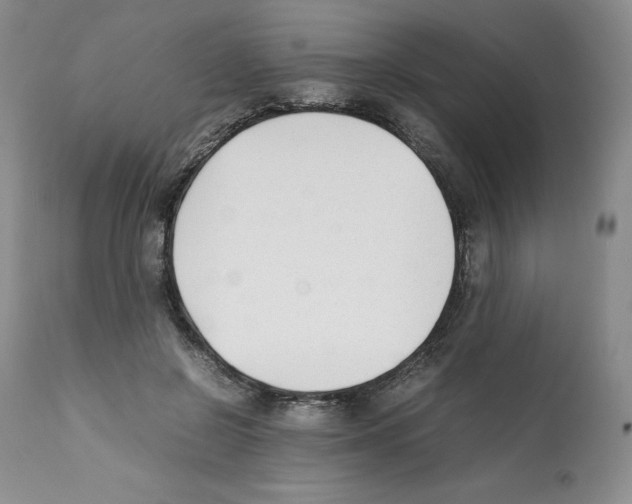 X0000112050550200909151005