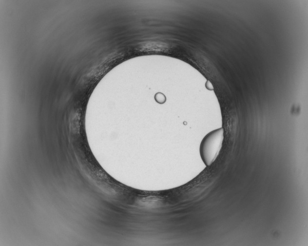 X0000112050551200909151005