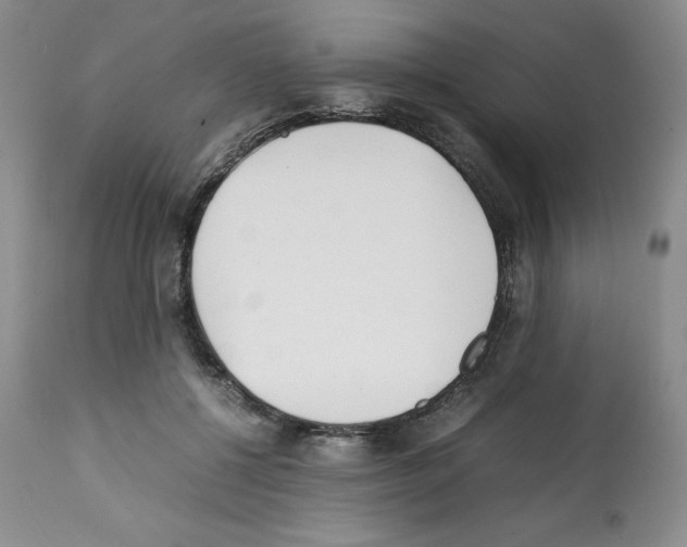 X0000112050552200909151005